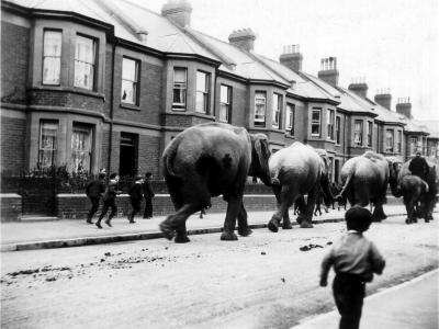 Exmouth Museum - Working with Schools and Older People